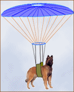 Dog_Parachute